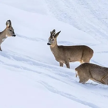 Talhaus Lauterbrunnen