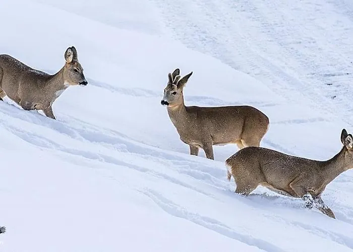 Talhaus Lauterbrunnen